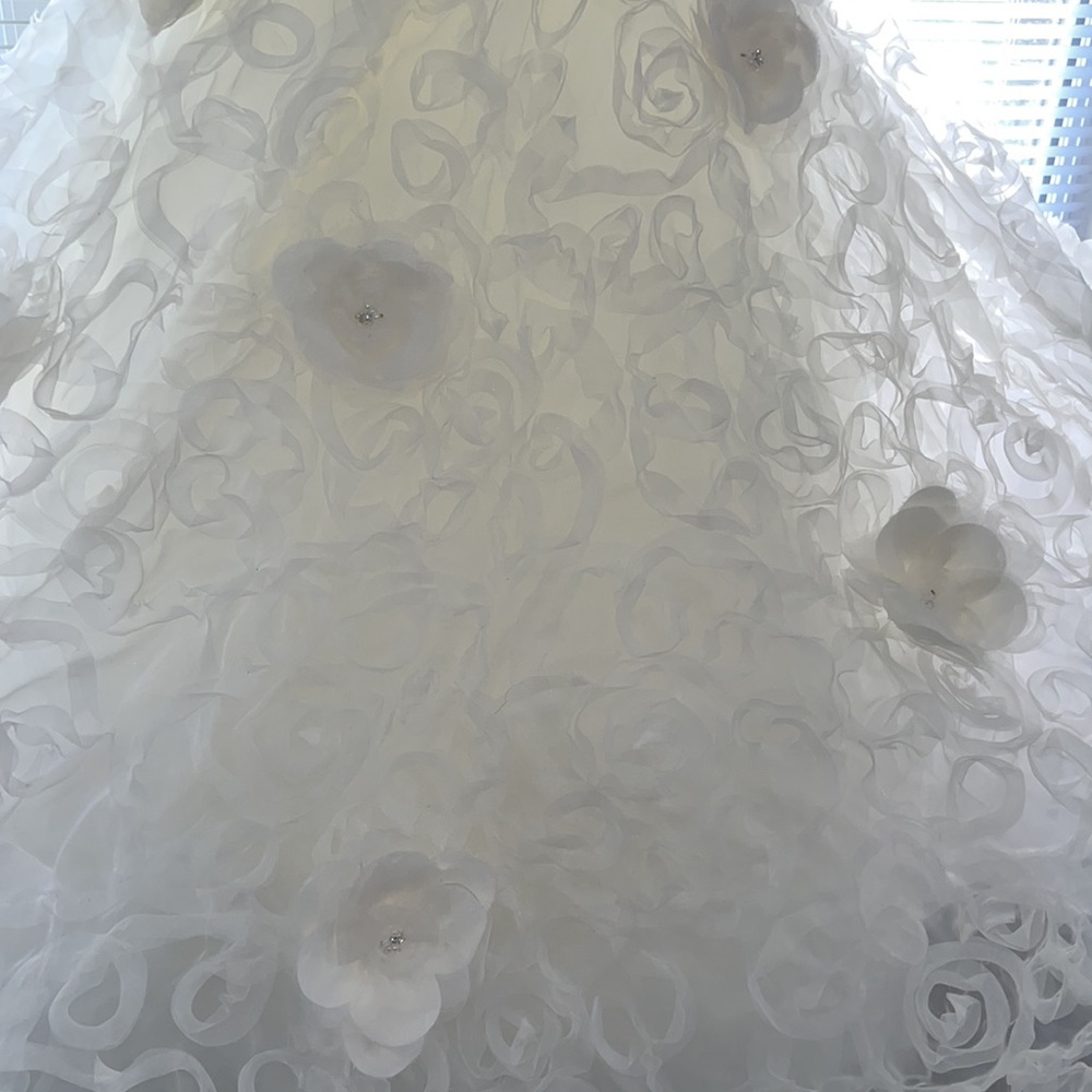 Wedding Dress - Picture 3 of 15